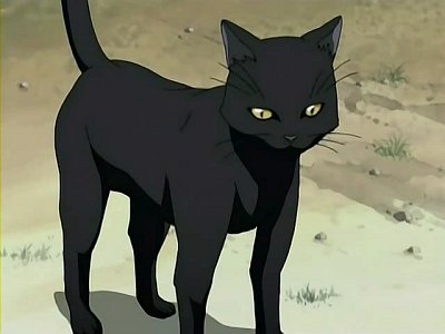 bleach-Yoruichi-cat_1169496786.jpg