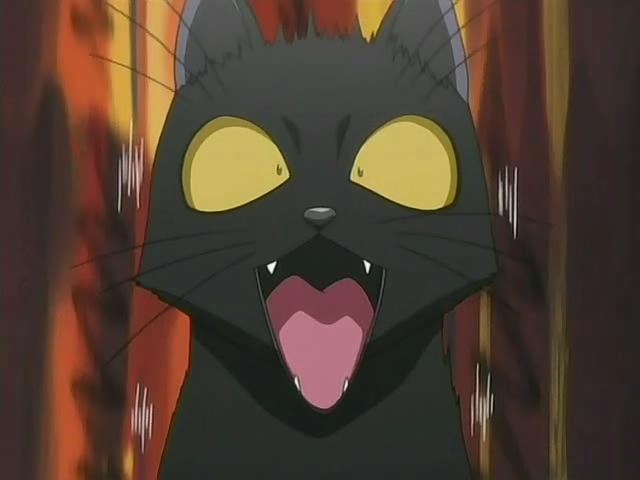 bleach_yoruichi_shihouin_oa_%2814%29.jpg