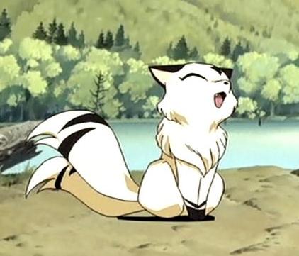 kirara38.jpg