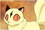 kirara.jpg