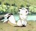 kirara38.jpg