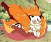 kirara35.jpg